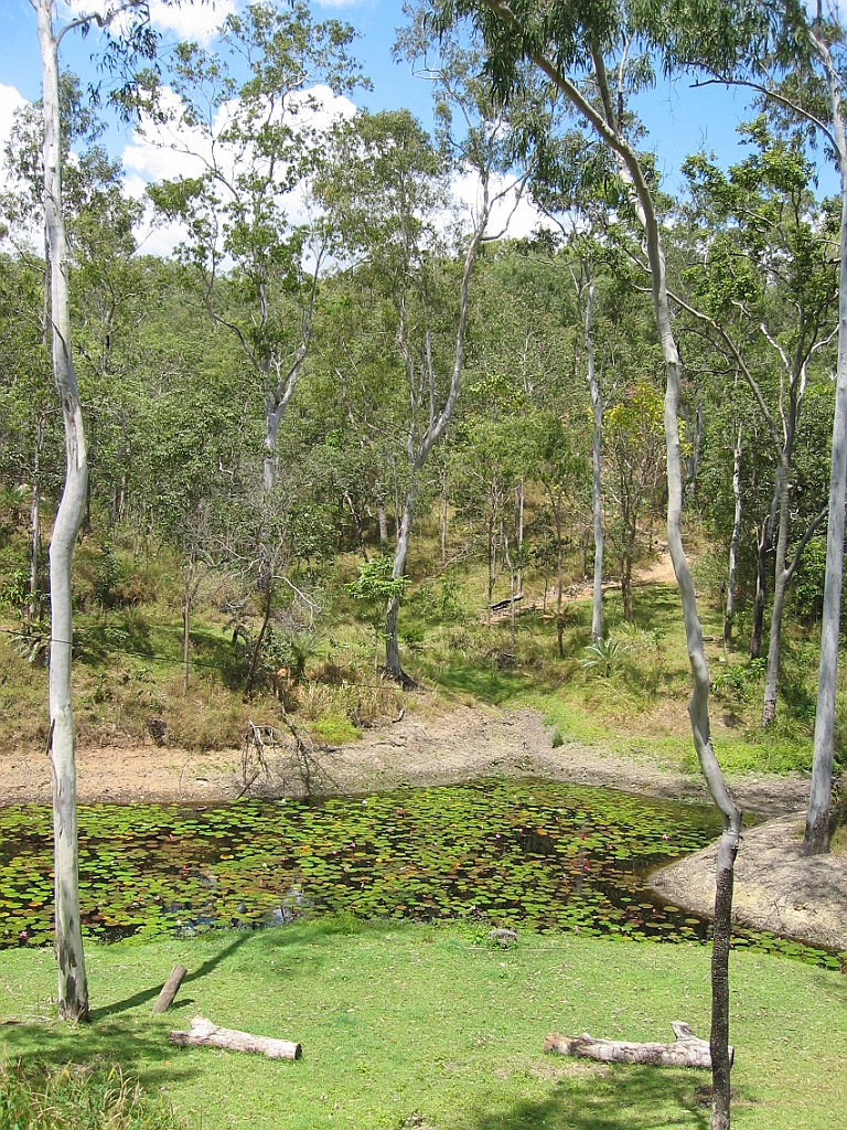 Cairns075 Kay's BBQ.jpg